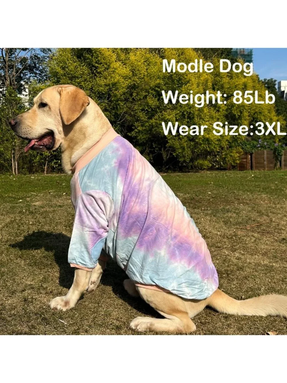 Colorful Tie Dye Dog T-Shirt - Soft, Stretchy, Breathable Pet Pajamas for Large